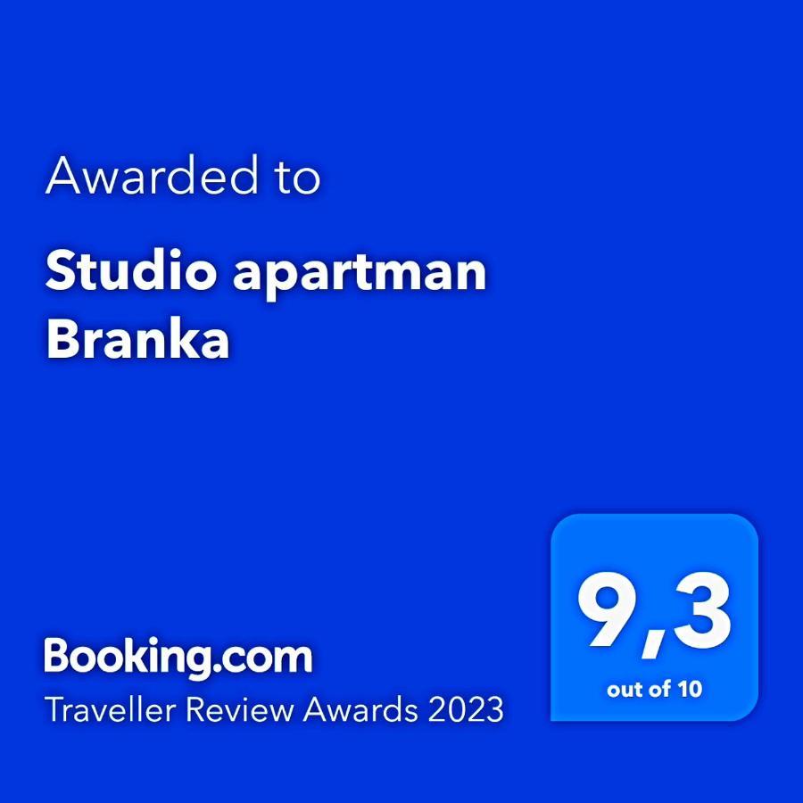 Studio Apartman Branka Labin  Eksteriør bilde