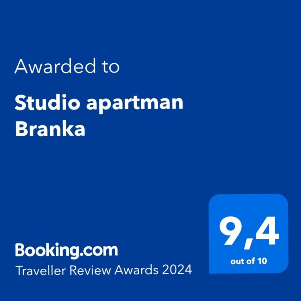 Studio Apartman Branka Labin  Eksteriør bilde